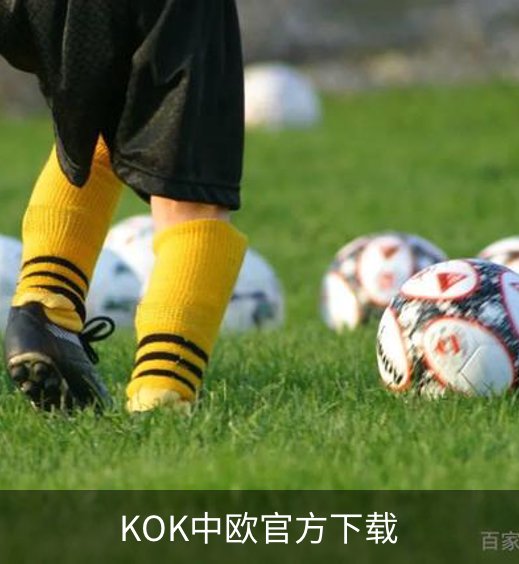 KOK中欧官方下载介绍